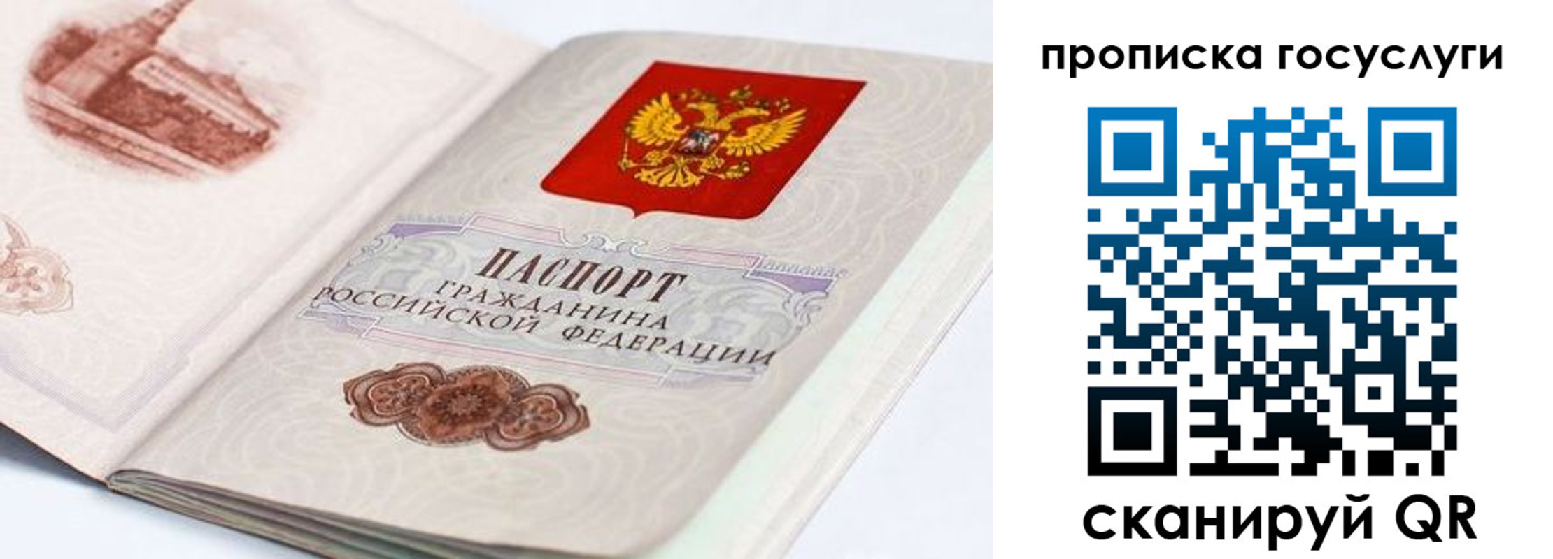 прописка гарантия в Пионерском